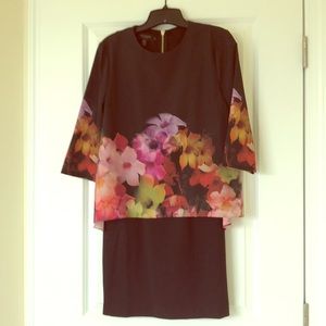 Gorgeous Ted Baker Sheath Dress